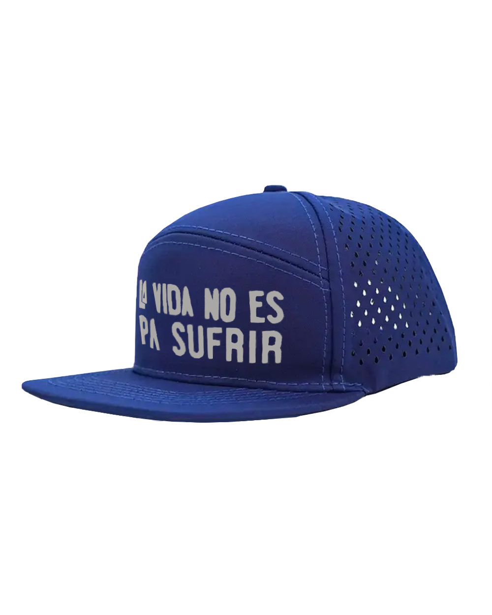 Evolution Snapback Hat