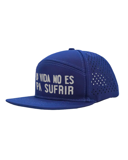 Evolution Snapback Hat